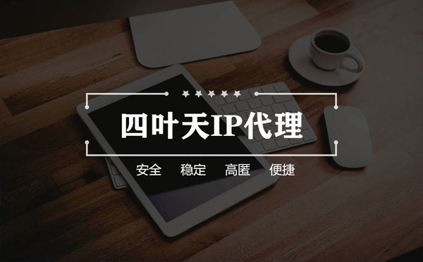 【琼中代理IP】如何快速搭建代理IP？怎么检查代理的效果？