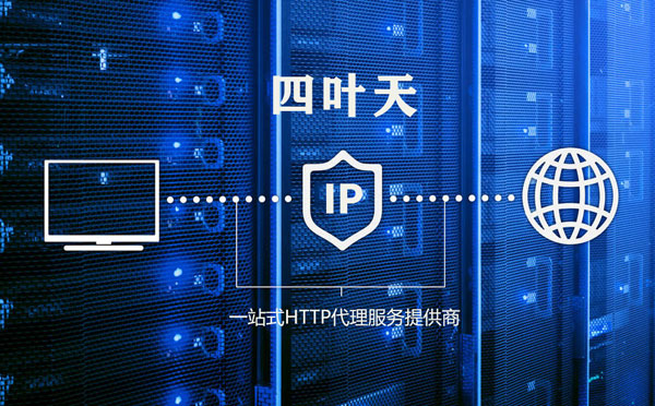 【琼中代理IP】代理IP的主要用途和使用注意事项